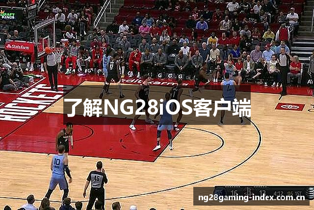 了解NG28iOS客户端